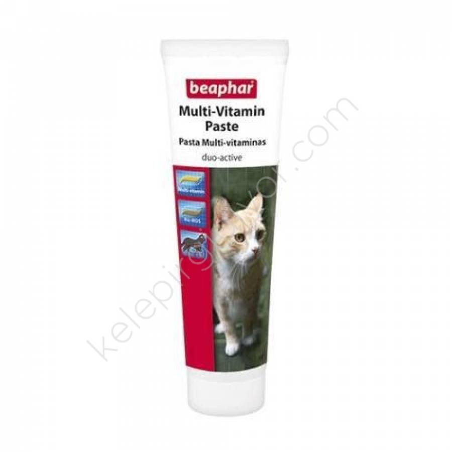 beaphar-multi-vitamin-paste-duo-active-100-gr-290_1.jpg