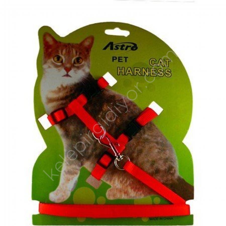 eurocat-kedi-gogus-tasmasi-duz-kirimizi-311_1.jpg